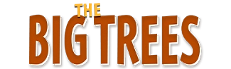 The Big Trees Logo - styled in yellow and orange lettering on a white background