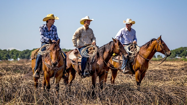 Three cowboys, Bubba Thompson, Cody Harris, and Booger Brown, on horseback in a field. The image shows the three cowboys riding horses in a grassy field with trees in the background.