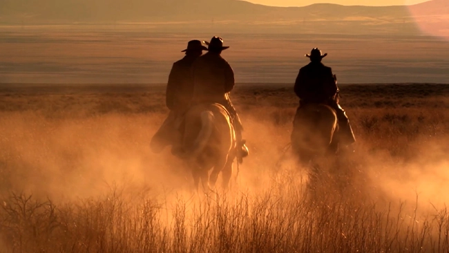 Three cowboys riding together in an open field riding off into the sunset