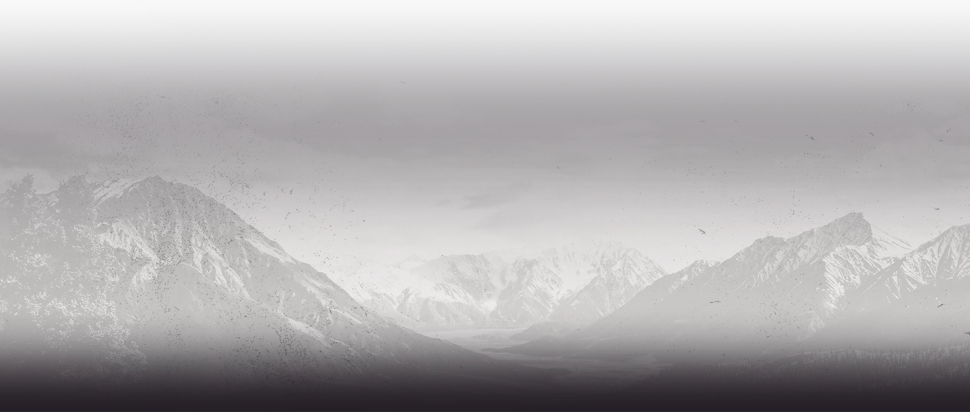 Snow capped mountains with overlays of distressed white and purple colors
