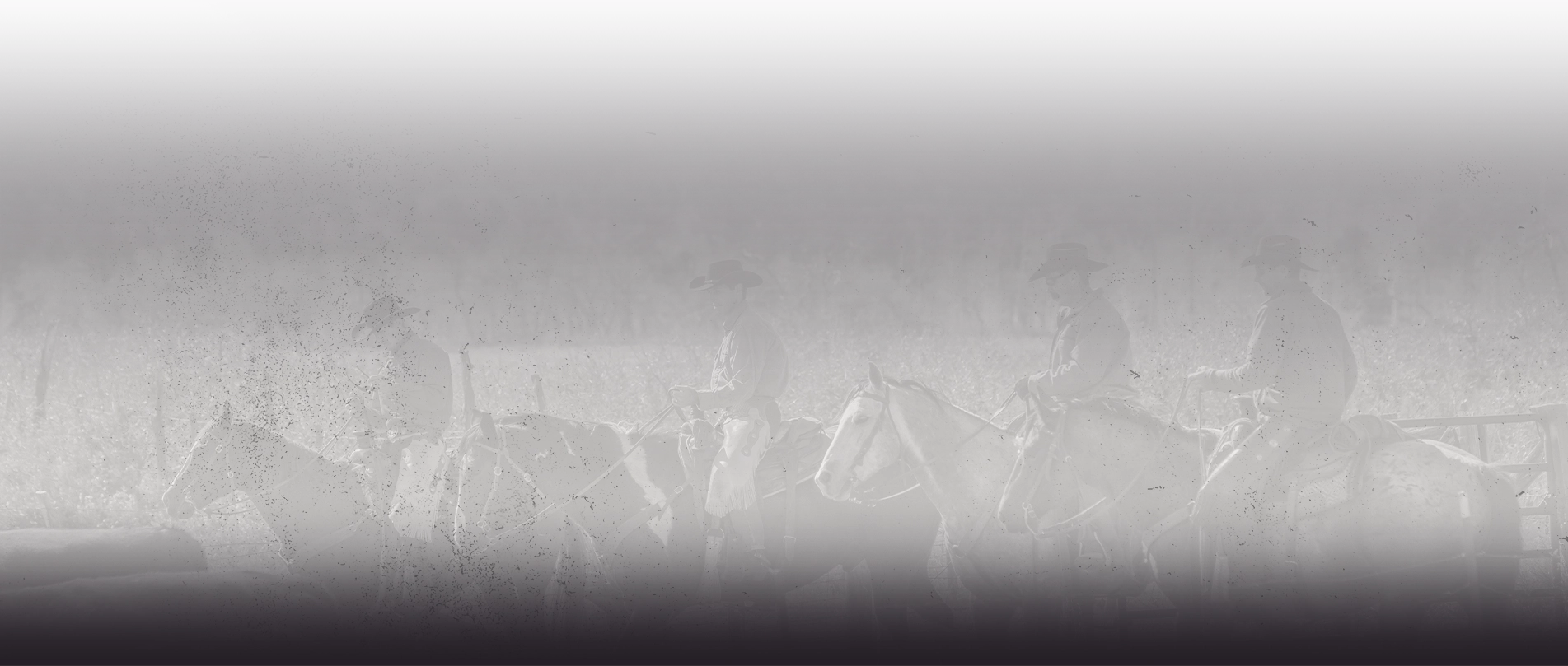 Four cowboys on horseback riding in a field going left. The image has a weathered overlay and fades to purple on the bottom.