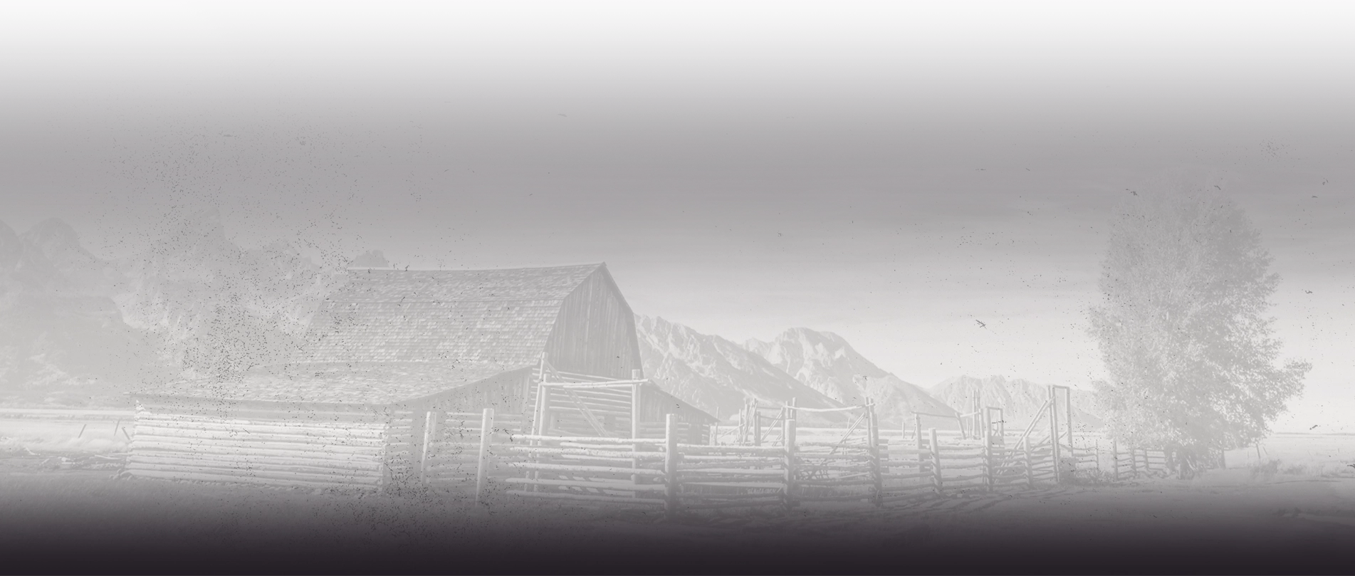Landscape image of a antique barn with a fence around it and a free out front, with picturesque mountains in the background. There is a white and grey overlay to the image.