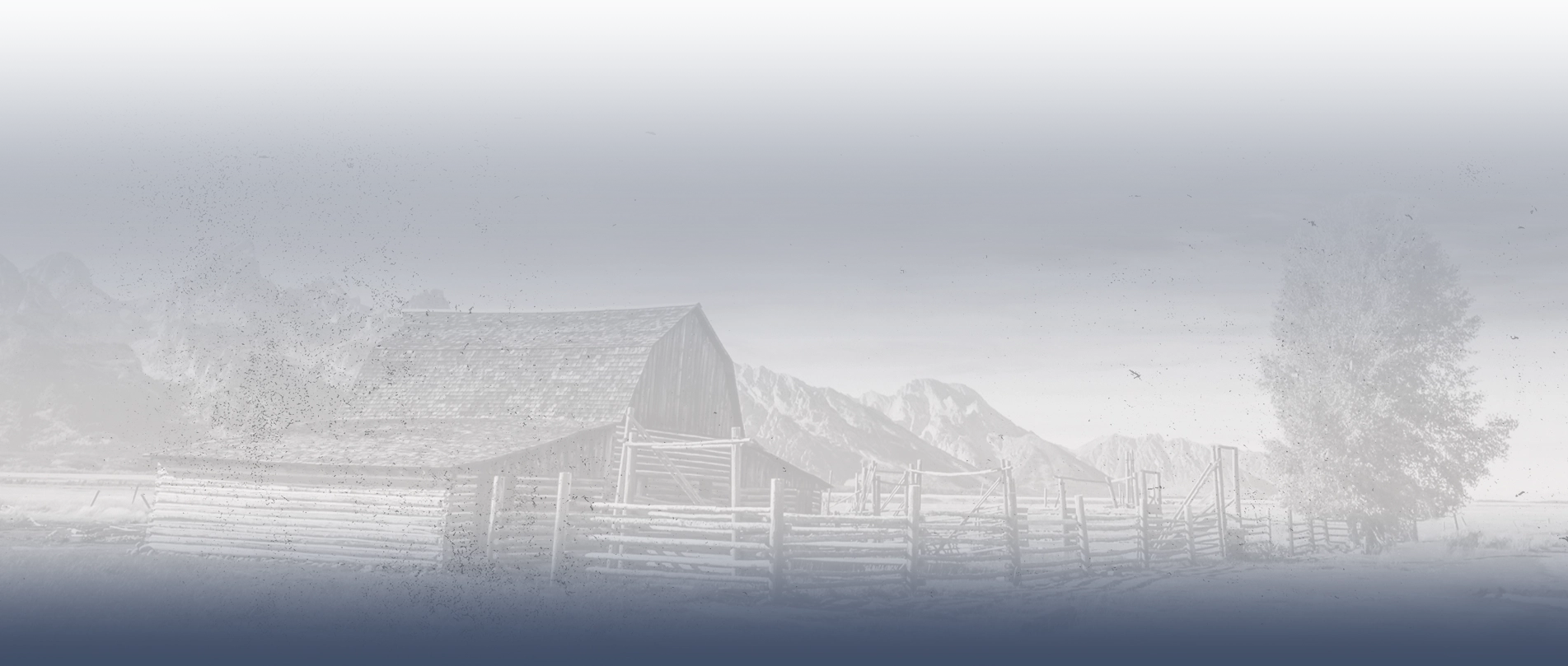 Landscape image of a antique barn with a fence around it and a free out front, with picturesque mountains in the background. There is a white and grey overlay to the image.